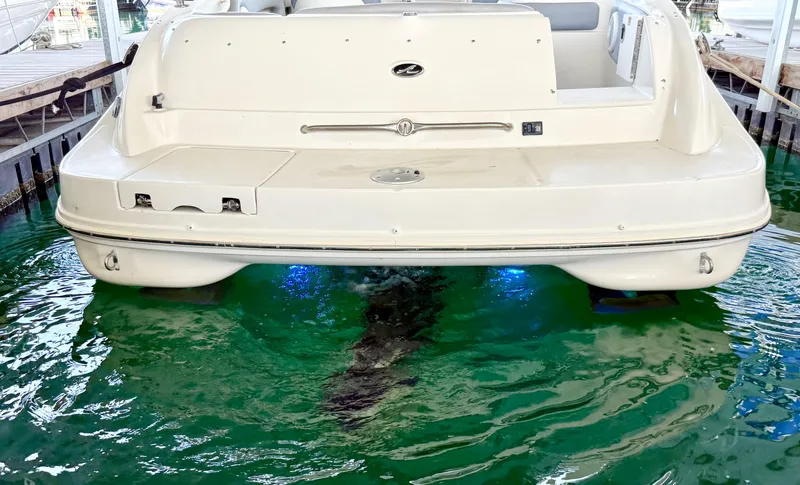 Slide: The Image of 2003 Sea Ray 270 Sundeck boat docked with underwater lights illuminating the water. - 21