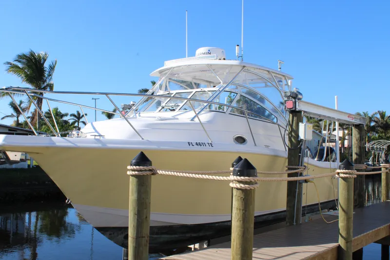 The Image of 2006 Pro-Line 32 Express boat docked by palm trees under clear blue sky. - 1