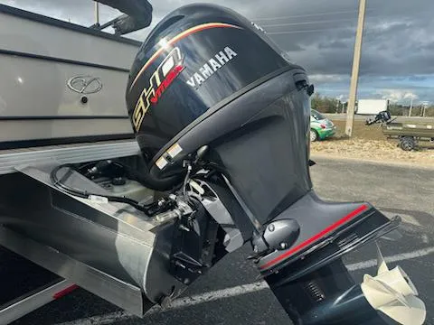 Slide: The Image of Veranda Fish F4 VF20F4 2025 - 7