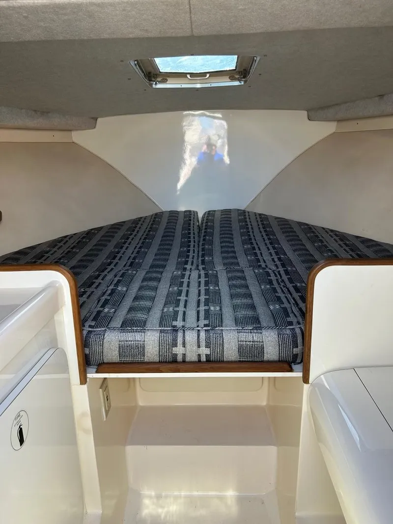 Slide: The Image of Bertram 28 Moppie 1988 - 4