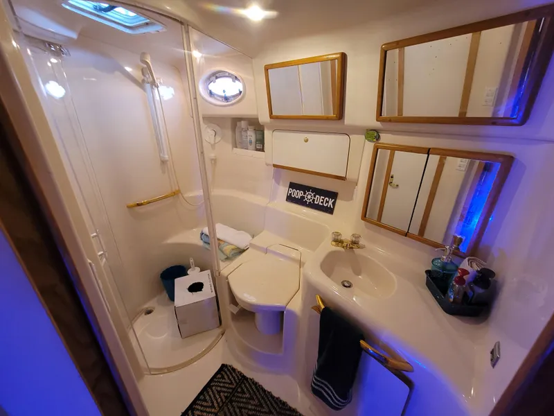 Slide: The Image of Sea Ray 450 Sundancer 1996 - 24