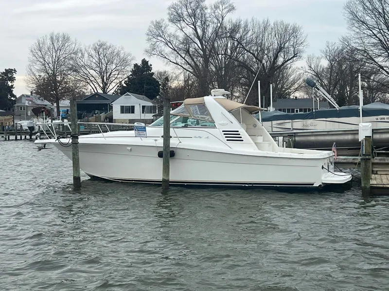 Slide: The Image of 340 Amberjack - 1