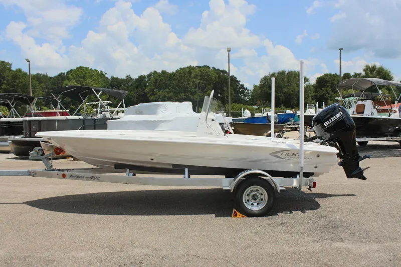 The Image of ALK2 17HS 2024 - undefined