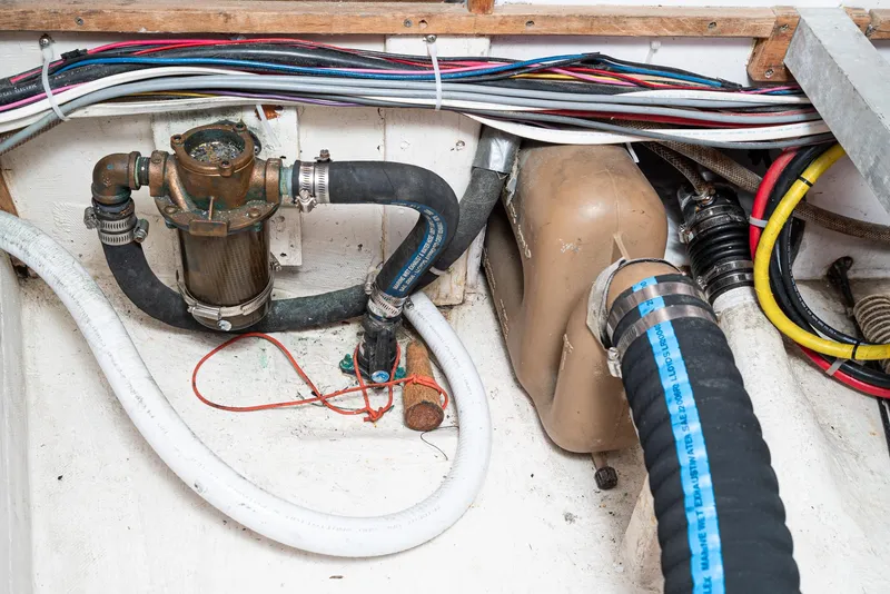 Slide: The Image of Tripp 47 1992 - 62