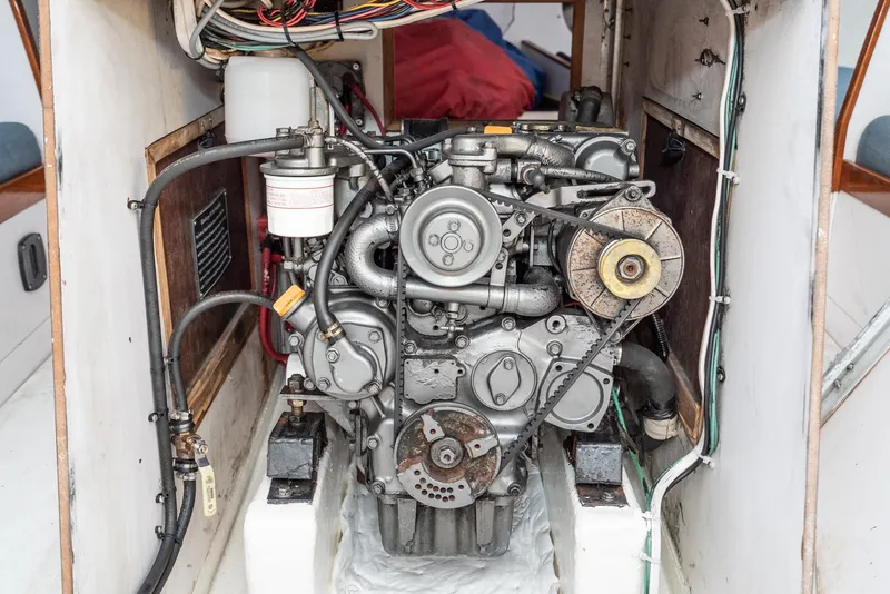 Slide: The Image of Tripp 47 1992 - 66