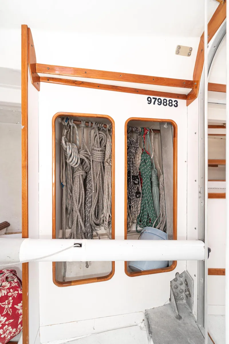 Slide: The Image of Tripp 47 1992 - 72