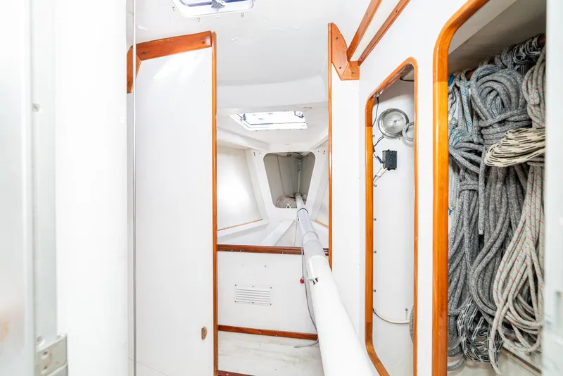 Slide: The Image of Tripp 47 1992 - 73