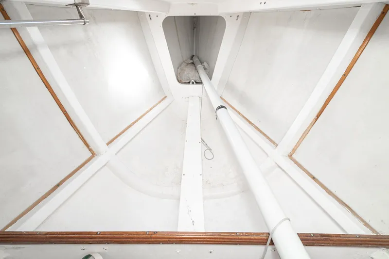 Slide: The Image of Tripp 47 1992 - 80