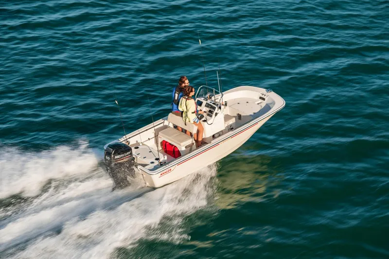 Slide: The Image of Boston Whaler 150 Montauk 2025 - 21
