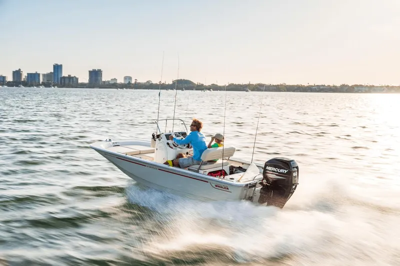 Slide: The Image of Boston Whaler 150 Montauk 2025 - 23