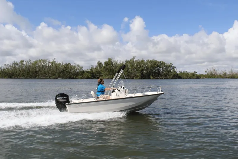 Slide: The Image of Boston Whaler 150 Montauk 2025 - 29