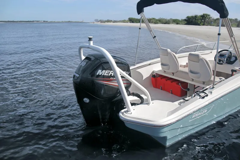 Slide: The Image of Boston Whaler 150 Montauk 2025 - 53