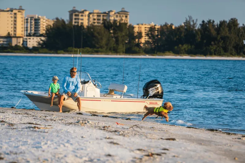 Slide: The Image of Boston Whaler 150 Montauk 2025 - 7