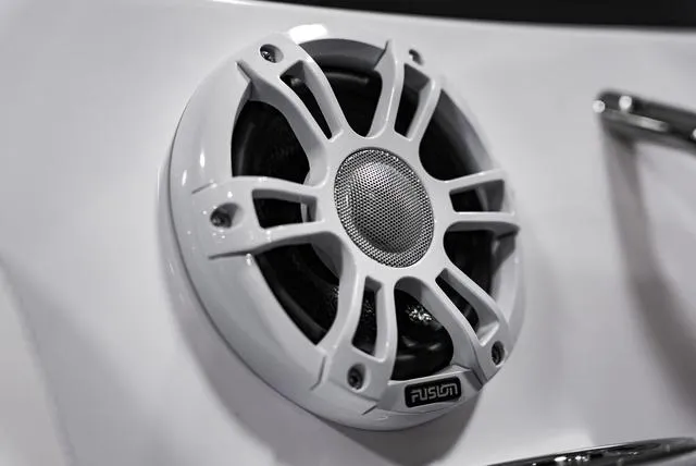 Slide: The Image of Stingray 211DC 2025 - 12