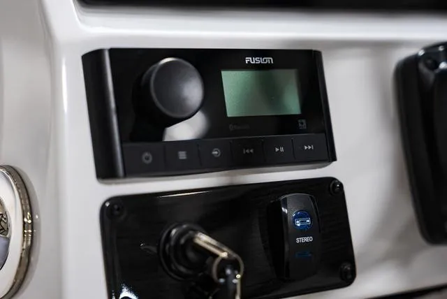 Slide: The Image of Stingray 211DC 2025 - 17