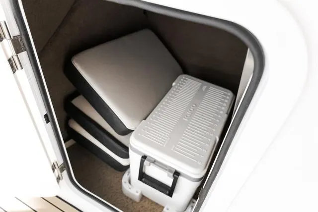 Slide: The Image of Stingray 211DC 2025 - 20