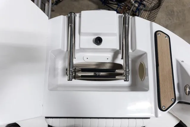 Slide: The Image of Stingray 211DC 2025 - 29