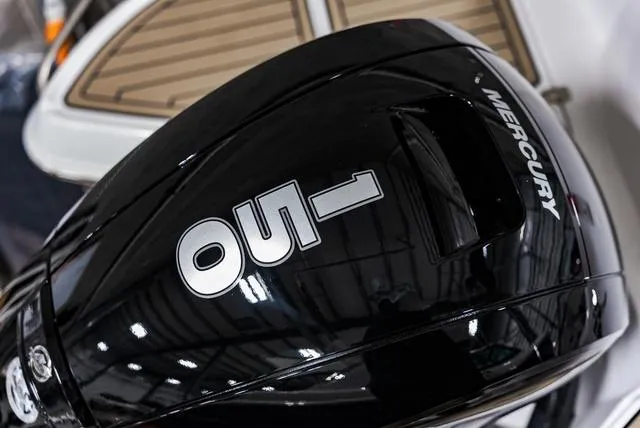 Slide: The Image of Stingray 211DC 2025 - 7