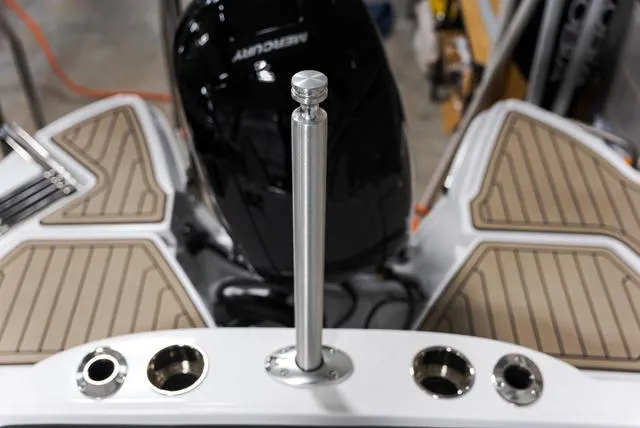 Slide: The Image of Stingray 211DC 2025 - 9