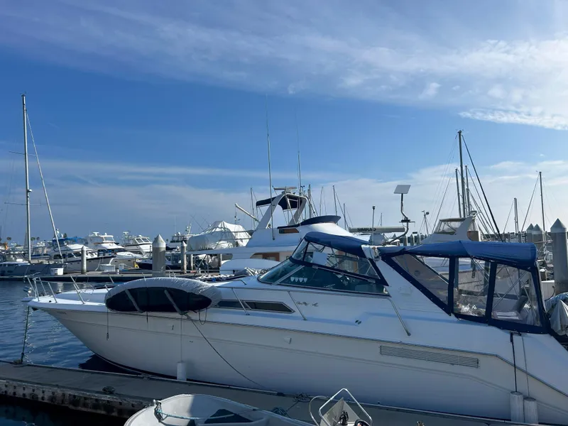 The Image of 1991 Sea Ray Sun Dancer 480 Express docked at marina under clear blue sky. - 0