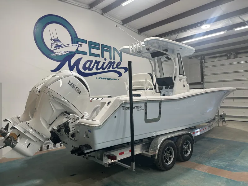 Slide: The Image of Tidewater 272cc 2025 - 6