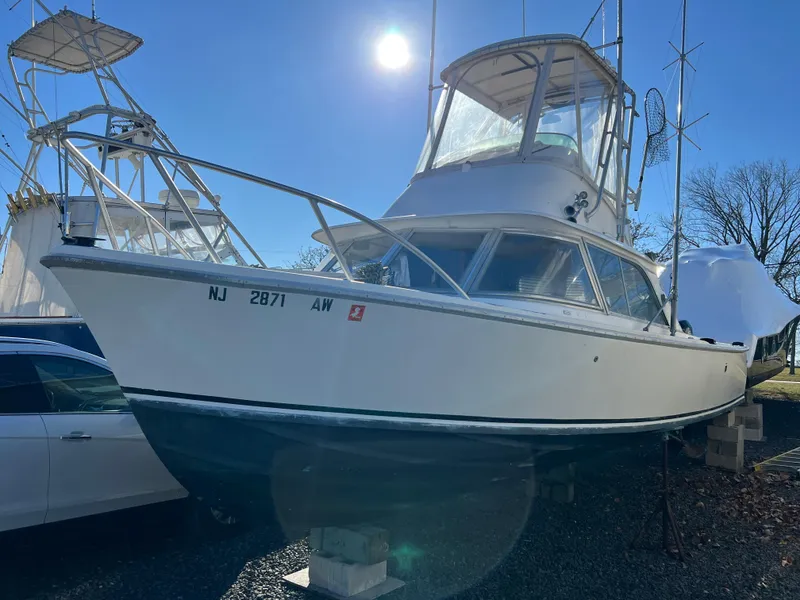 Slide: The Image of 1973 Bertram 31 Flybridge Cruiser on display under bright sunlight. - 2