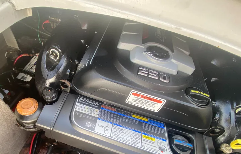 Slide: The Image of 2019 Stingray 250CR engine compartment with Mercury 250 engine. - 16