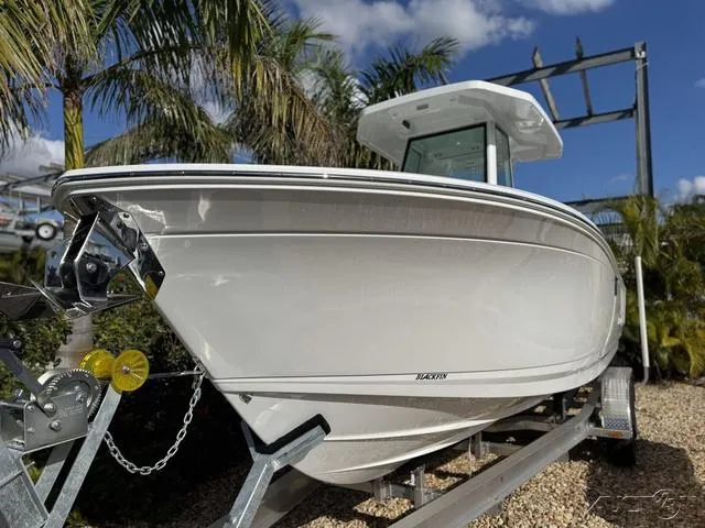 Slide: The Image of 2025 Blackfin 252CC boat on trailer, surrounded by palm trees. - 3