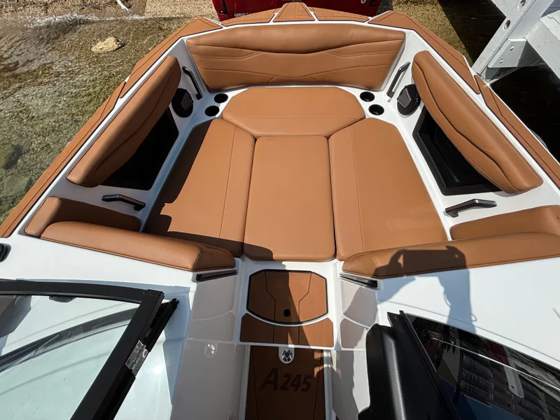 Slide: The Image of Axis A245 2025 - 487