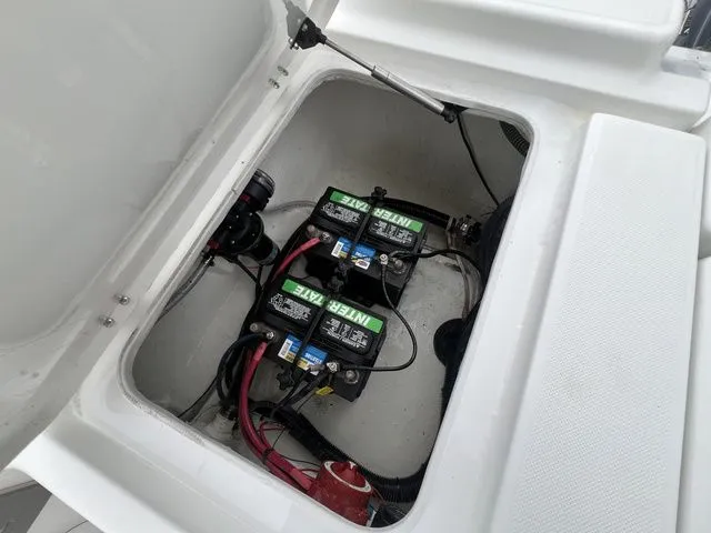 Slide: The Image of Savannah 220IS 2023 - 14