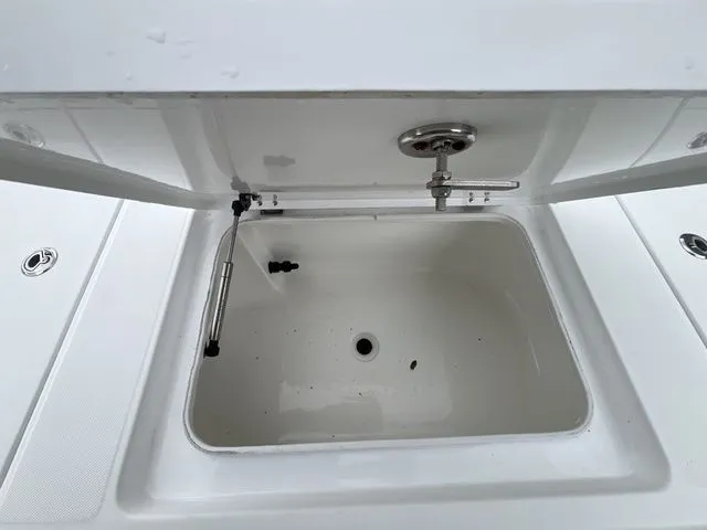 Slide: The Image of Savannah 220IS 2023 - 15