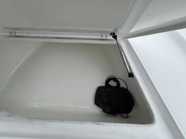 Slide: The Image of Savannah 220IS 2023 - 16