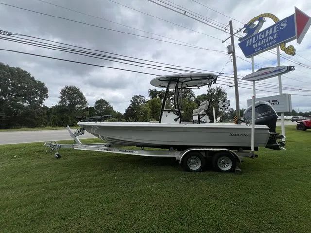 Slide: The Image of Savannah 220IS 2023 - 3