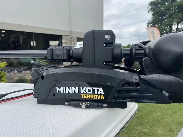 Slide: The Image of Savannah 220IS 2023 - 6