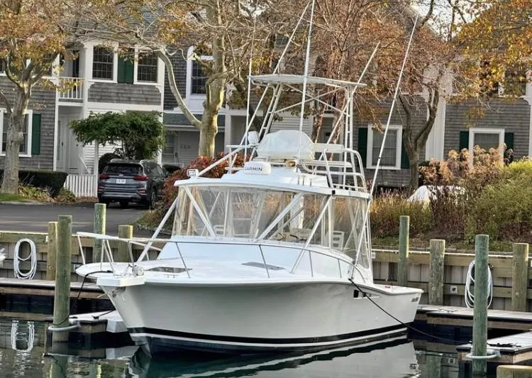 The Image of 1996 Luhrs Tournament 320 Open boat docked in a marina, surrounded by autumn trees. - 0