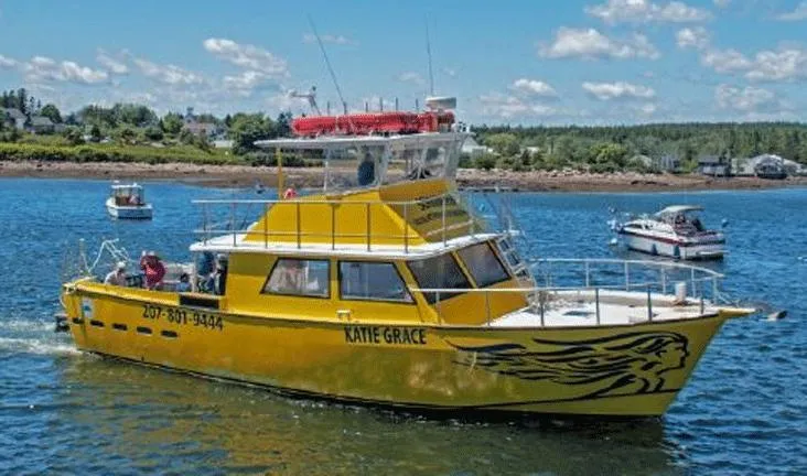 The Image of Bright yellow 1978 Marine Management Flybridge boat on water, with scenic background. - 0
