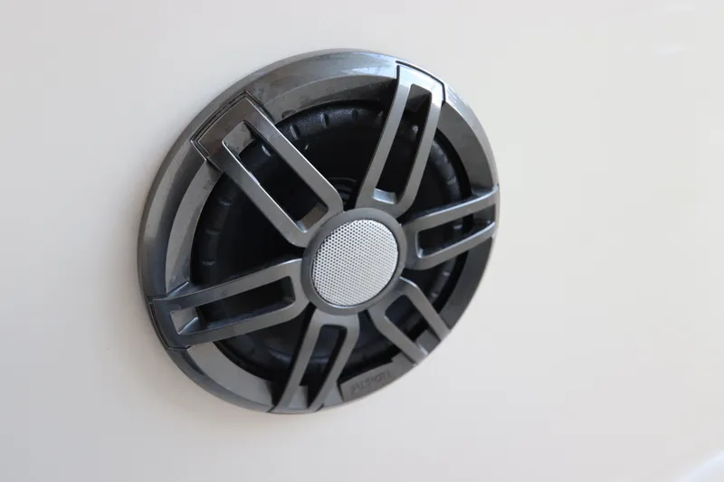 Slide: The Image of Speaker detail on 2024 Grady-White Fisherman 216 boat. - 28