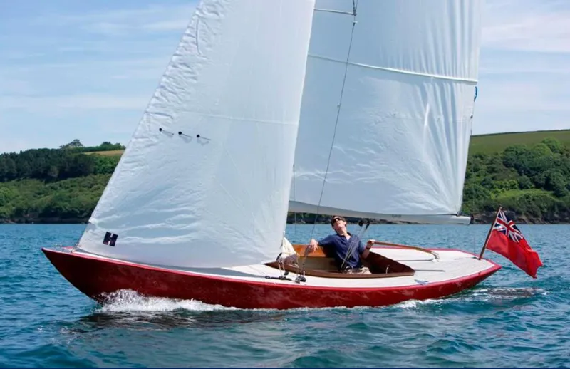 The Image of Rustler 24 - 1