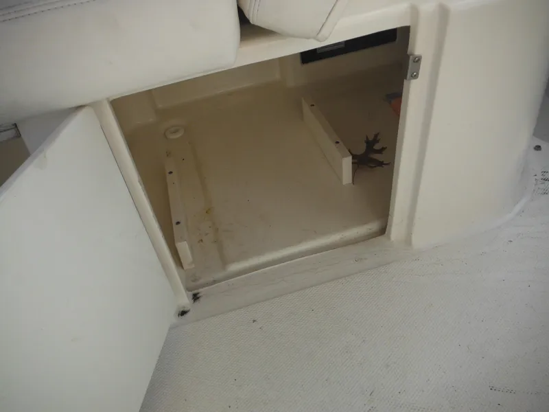 Slide: The Image of Open storage compartment on 2010 Sea Ray 260 Sundancer boat. - 32