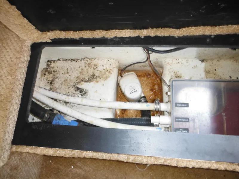 Slide: The Image of Sea Ray 260 Sundancer 2010 - 55