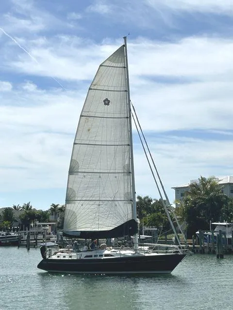 Slide: The Image of Freedom 45 1992 - 61