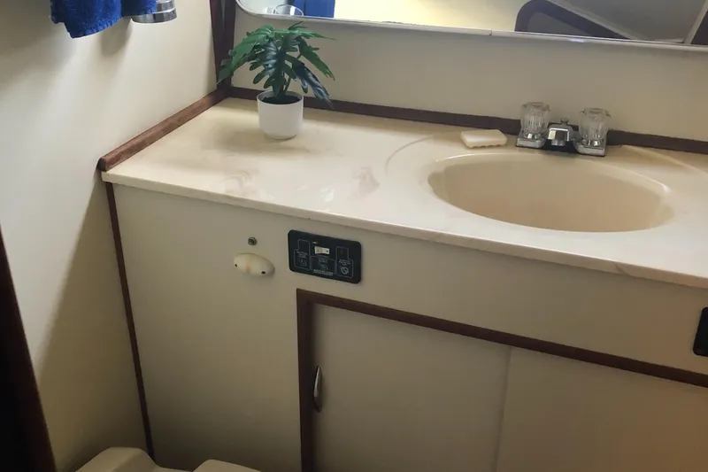 Slide: The Image of 1987 Chris-Craft 426 Catalina bathroom with sink, mirror, and potted plant. - 44