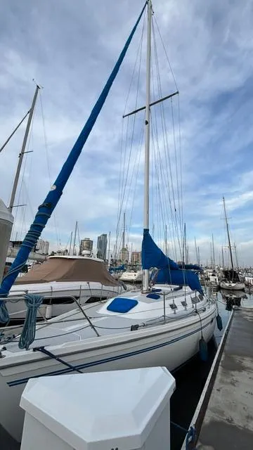 The Image of 1994 Catalina 36 sailboat docked at marina under cloudy sky. - 0