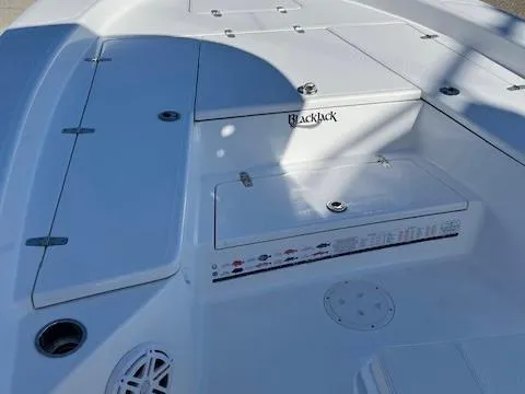 Slide: The Image of 2018 BlackJack 256 Bay boat deck with storage compartments and speaker. - 8