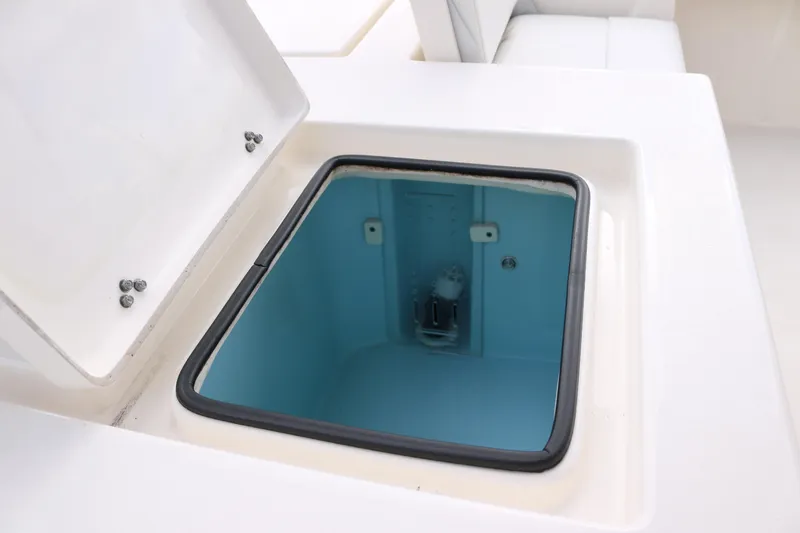 Slide: The Image of 2020 Pathfinder - Livewell - 17