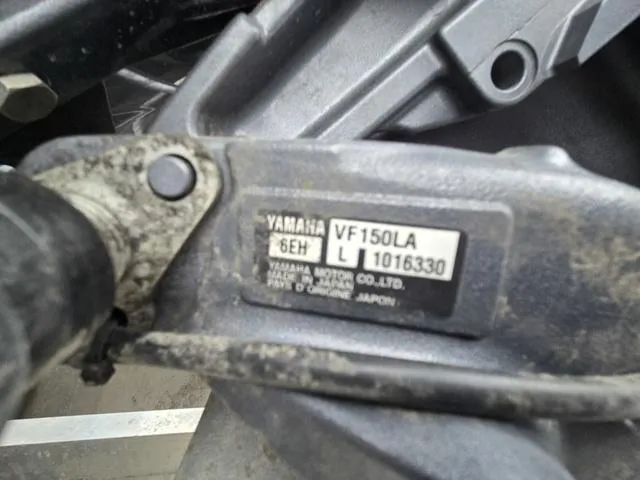 Slide: The Image of Godfrey Sweetwater 2286 SFLC 2025 - 4