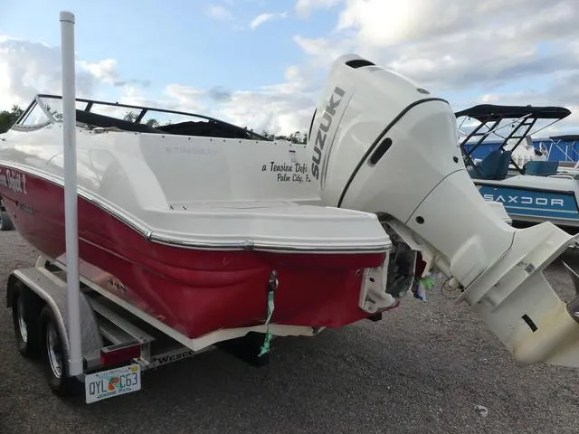 Slide: The Image of Stingray 231 DC 2020 - 5