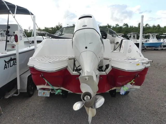 Slide: The Image of Stingray 231 DC 2020 - 6