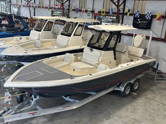 The Image of Scout 281 XSS 2025 - 1