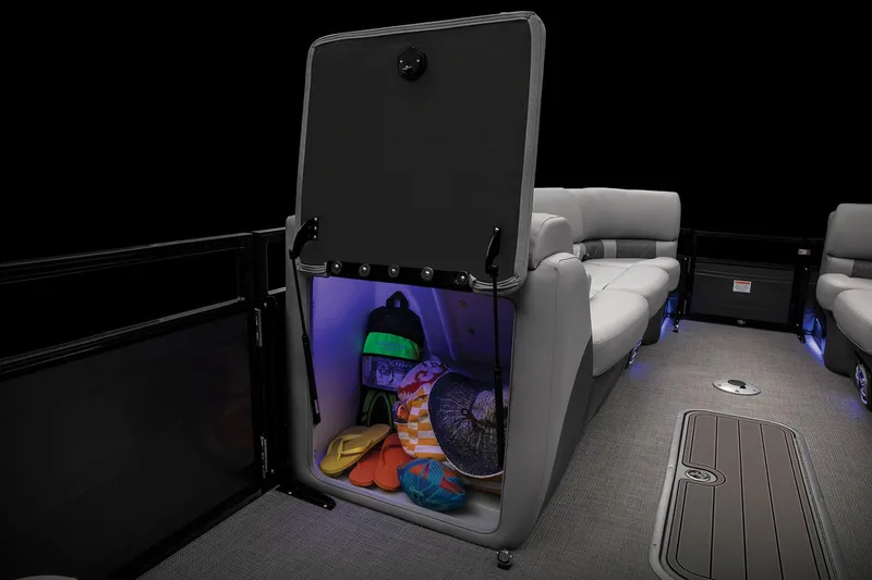 Slide: The Image of Regency 250 LE3 Sport 2023 - 24